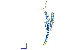 AlphaFold protein structure predicition of Human Recombinant CCDC43 Protein, UniprotID Q96MW1