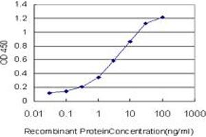 Detection limit for recombinant GST tagged IRAK4 is approximately 0. (IRAK4 抗体  (AA 1-130))
