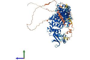 Protein Structure (PS) image for Serine/threonine-Protein Phosphatase 4 Regulatory Subunit 3A (SMEK1) (AA 1-833) protein (His tag) (ABIN7554881)