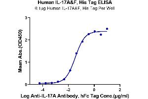 ELISA image for Interleukin-17 A/F Heterodimer (IL-17A/F) (AA 24-155) protein (His tag) (ABIN7275001)