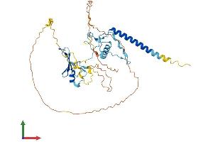 Protein Structure (PS) image for Methyl-CpG Binding Domain Protein 2 (MBD2) (AA 1-414) protein (His tag) (ABIN7556423)