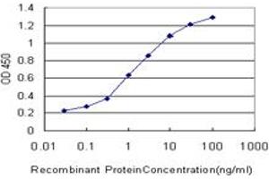 Detection limit for recombinant GST tagged BMP2K is approximately 0. (BMP2K 抗体  (AA 540-650))