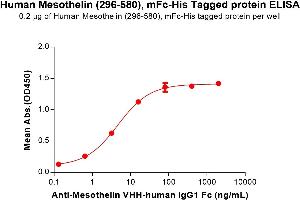 ELISA plate pre-coated by 2 μg/mL (100 μL/well)Human Mesothelin (296-580) Protein, mFc-His Tag (ABIN6961104, ABIN7042237 and ABIN7042238) can bind Anti-Mesothelin VHH-human IgG1 Fc in a linear range of 0.