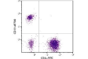 Human peripheral blood lymphocytes were stained with Mouse Anti-Human CD19-AF700. (CD19 抗体  (Cy5))