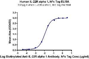 ELISA image for Interleukin 22 Receptor, alpha 1 (IL22RA1) (AA 16-228) protein (Fc Tag) (ABIN7275022)
