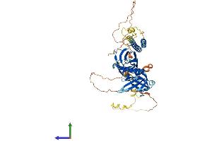 Protein Structure (PS) image for Rhotekin (RTKN) (AA 1-564) protein (His tag) (ABIN7559168)