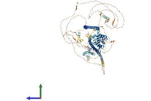 Protein Structure (PS) image for Tuberous Sclerosis 1 (TSC1) (AA 1-1161) protein (His tag) (ABIN7565018)