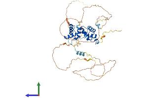 AlphaFold protein structure predicition of Mouse Recombinant Pax2 Protein, UniprotID P32114