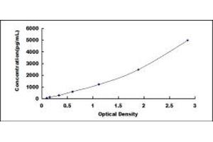 Typical standard curve (TCN2 ELISA 试剂盒)