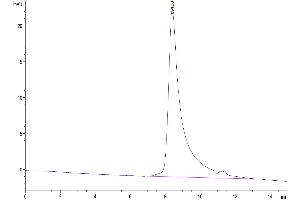 Size-exclusion chromatography-High Pressure Liquid Chromatography (SEC-HPLC) image for SARS-CoV-2 Spike (N501Y), (RBD) protein (His tag) (ABIN7274385)