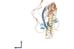 AlphaFold protein structure predicition of Human Recombinant TEX13C Protein, UniprotID A0A0J9YWL9 (TEX13C Protein (AA 1-993) (His tag))