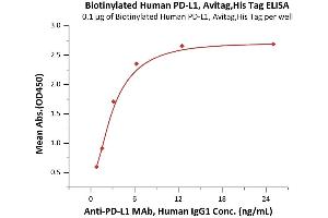 Immobilized Biotinylated Human PD-L1, Avitag,His Tag (ABIN2870558,ABIN2870559) at 1 μg/mL (100 μL/well) on Streptavidin  precoated (0. (PD-L1 Protein (AA 19-238) (His tag,AVI tag,Biotin))