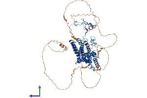 Protein Structure (PS) image for Bestrophin 3 (BEST3) (AA 1-669) protein (His tag) (ABIN7557919)
