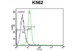 Flow Cytometry (FACS) image for anti-Potassium Voltage-Gated Channel, Subfamily H (Eag-Related), Member 2 (KCNH2) antibody (ABIN3003921) (KCNH2 抗体)