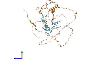 Protein Structure (PS) image for Kruppel-Like Factor 5 (Intestinal) (KLF5) (AA 1-446) protein (His tag) (ABIN7556364)
