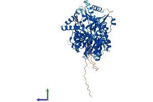 AlphaFold protein structure predicition of Mouse Recombinant Dhx32 Protein, UniprotID Q8BZS9