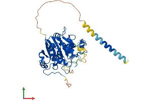Protein Structure (PS) image for Glycosyltransferase 8 Domain Containing 1 (GLT8D1) (AA 1-371) protein (His tag) (ABIN7557953)