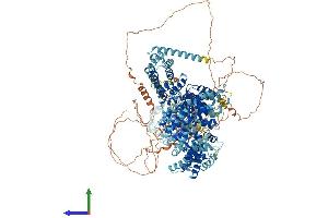 AlphaFold protein structure predicition of Mouse Recombinant Ncapd3 Protein, UniprotID Q6ZQK0