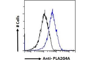 ABIN571180 Flow cytometric analysis of paraformaldehyde fixed A549 cells (blue line), permeabilized with 0. (PLA2G4A 抗体  (Internal Region))