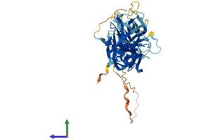 Protein Structure (PS) image for Arrestin, beta 2 (ARRB2) (AA 1-409) protein (His tag) (ABIN7552424)