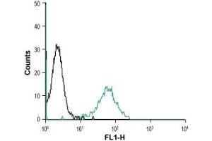 Flow Cytometry (FACS) image for anti-Receptor (G Protein-Coupled) Activity Modifying Protein 2 (RAMP2) (AA 54-68), (Extracellular) antibody (ABIN7043596)