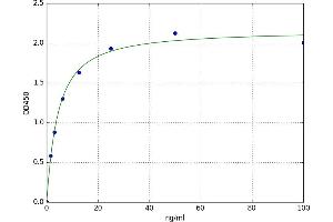PTK2 Protein tyrosine Kinase 2 (PTK2) ELISA Kit
