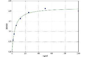 A typical standard curve (FAK ELISA 试剂盒)
