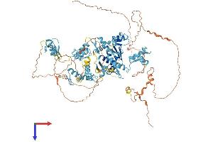 AlphaFold protein structure predicition of Human Recombinant ZBTB41 Protein, UniprotID Q5SVQ8