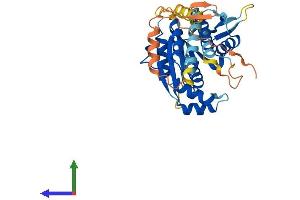 Protein Structure (PS) image for Phosphoseryl-tRNA Kinase (PSTK) (AA 1-348) protein (His tag) (ABIN7551107)
