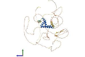 AlphaFold protein structure predicition of Human Recombinant TCF7L1 Protein, UniprotID Q9HCS4