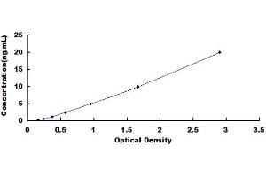 Typical standard curve (N4BP2 ELISA 试剂盒)