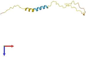 AlphaFold protein structure predicition of Human Recombinant PRAC2 Protein, UniprotID D3DTV9