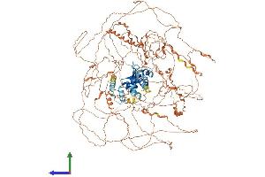 Protein Structure (PS) image for MAGE-Like 2 (MAGEL2) (AA 1-1284) protein (His tag) (ABIN7565161)
