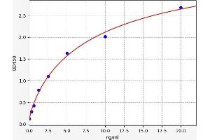 HYAL2 ELISA 试剂盒