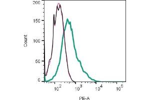 anti-Transmembrane Protein 119 (TMEM119) (AA 53-67), (Extracellular), (N-Term) antibody (PE)