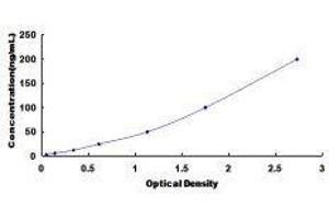 ELISA image for Carbonic Anhydrase II (CA2) ELISA Kit (ABIN1118043)
