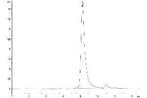 Size-exclusion chromatography-High Pressure Liquid Chromatography (SEC-HPLC) image for Artemin (ARTN) (AA 112-224) protein (Fc Tag) (ABIN7273877)