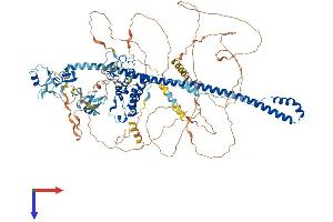 TRIM24 Protein (AA 1-1051) (His tag)