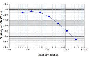 ELISA image for anti-Core-Binding Factor, beta Subunit (CBFB) (Internal Region) antibody (ABIN6655308)