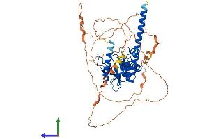Protein Structure (PS) image for OTU Domain Containing 1 (OTUD1) (AA 1-454) protein (His tag) (ABIN7560646)