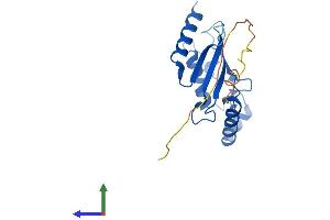 AlphaFold protein structure predicition of Human Recombinant UBE2T Protein, UniprotID Q9NPD8