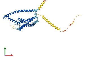 Protein Structure (PS) image for Potassium Channel Subfamily K Member 1 (KCNK1) (AA 1-336) protein (His tag) (ABIN7562173)