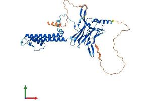 Protein Structure (PS) image for Potassium Inwardly-Rectifying Channel, Subfamily J, Member 14 (KCNJ14) (AA 1-434) protein (His tag) (ABIN7559397)