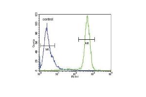 Flow Cytometry (FACS) image for anti-Sodium Channel, Voltage-Gated, Type I, beta (SCN1B) (AA 63-90), (N-Term) antibody (ABIN654602)