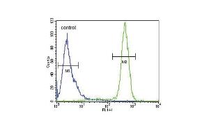 SCN1B Antibody (N-Term) (ABIN654602 and ABIN2844301) flow cytometric analysis of Hela cells (right histogram) compared to a negative control cell (left histogram). (SCN1B 抗体  (N-Term))
