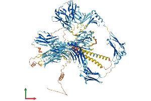AlphaFold protein structure predicition of Mouse Recombinant Myom3 Protein, UniprotID A2ABU4