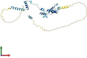 AlphaFold protein structure predicition of Mouse Recombinant Fra10ac1 Protein, UniprotID Q8BP78