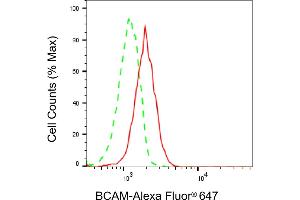 Flow cytometric analysis of BCAM expression in HAP-1 cells using BCAM antibody (ABIN7797732), 1:2,000). (Recombinant BCAM 抗体)