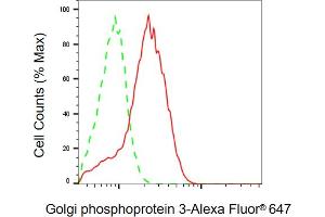 Flow cytometric analysis of Golgi phosphoprotein 3 expression in HepG2 cells using Golgi phosphoprotein 3 antibody (ABIN7798794), 1:2,000). (GOLPH3 抗体)