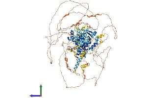 AlphaFold protein structure predicition of Human Recombinant HR Protein, UniprotID O43593